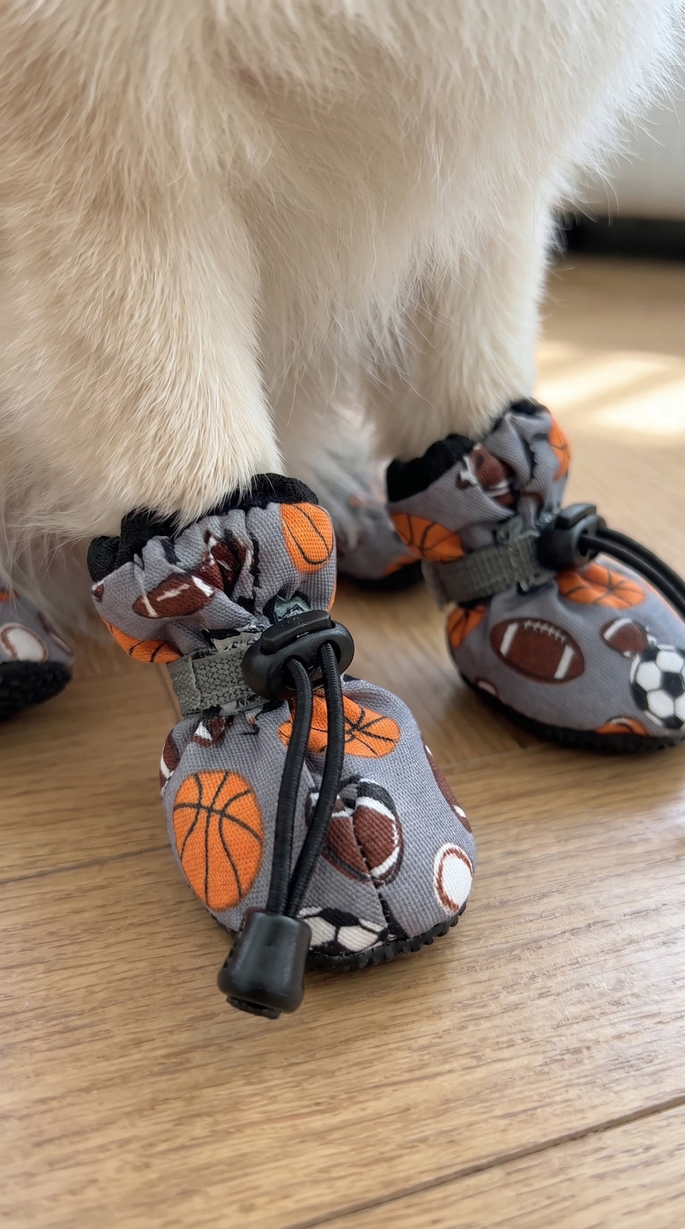 Botas antideslizantes para mascotas