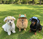 Tres perros con distintos sombreros PawRelax en el parque