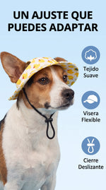 Un ajuste que puedes adaptar